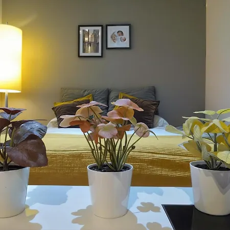 Gran Piso Pleno Centro. Plaza Del Pilar + Desayuno Appartement Saragosse