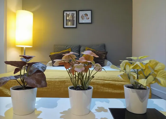 Gran Piso Pleno Centro. Plaza Del Pilar + Desayuno Apartament Saragossa